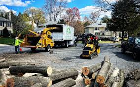 Best Tree and Shrub Care  in Salem, VA