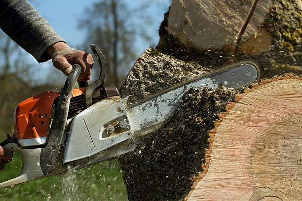 Lawn Maintenance Plans in Salem, VA